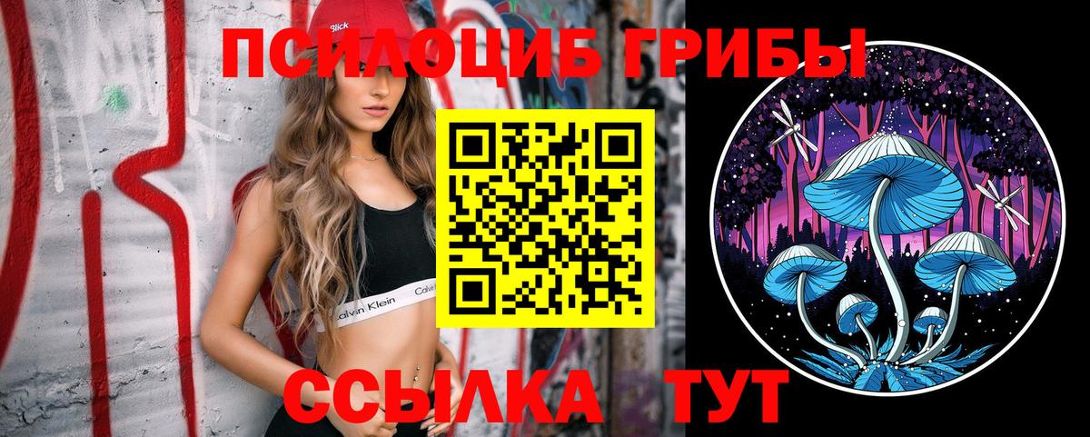 Галлюциногенные грибы ЛСД Шахты